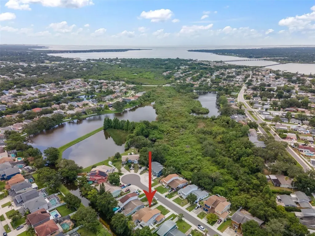 1712 Azalea Court Oldsmar FL 34677