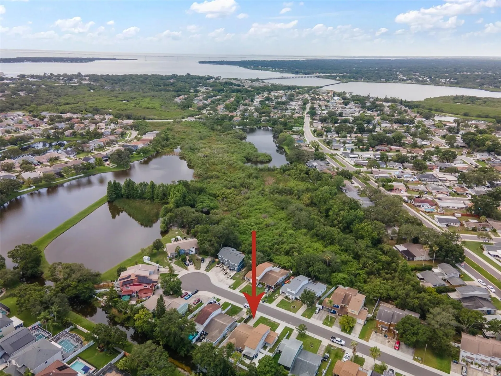 1712 Azalea Court Oldsmar FL 34677