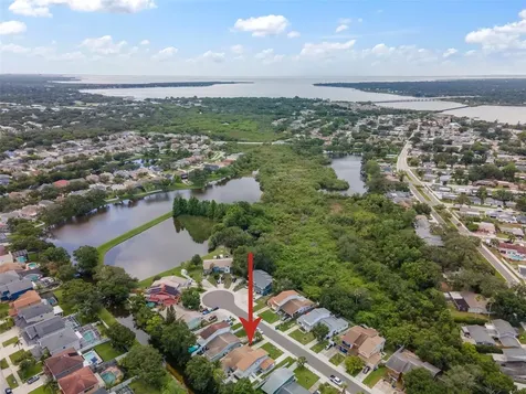 1712 Azalea Court Oldsmar FL 34677