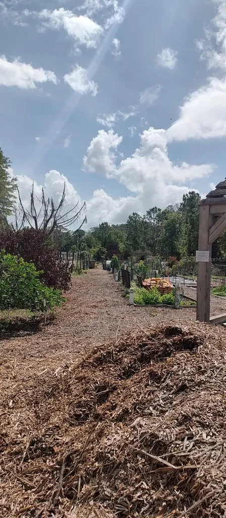 3184 Songbird Circle Harmony FL 34773