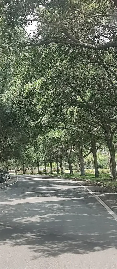 3184 Songbird Circle Harmony FL 34773