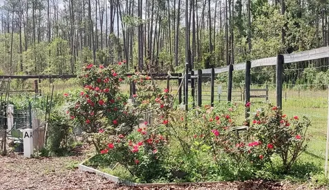 3184 Songbird Circle Harmony FL 34773