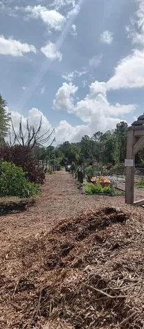 3184 Songbird Circle Harmony FL 34773