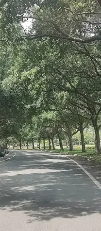3184 Songbird Circle Harmony FL 34773