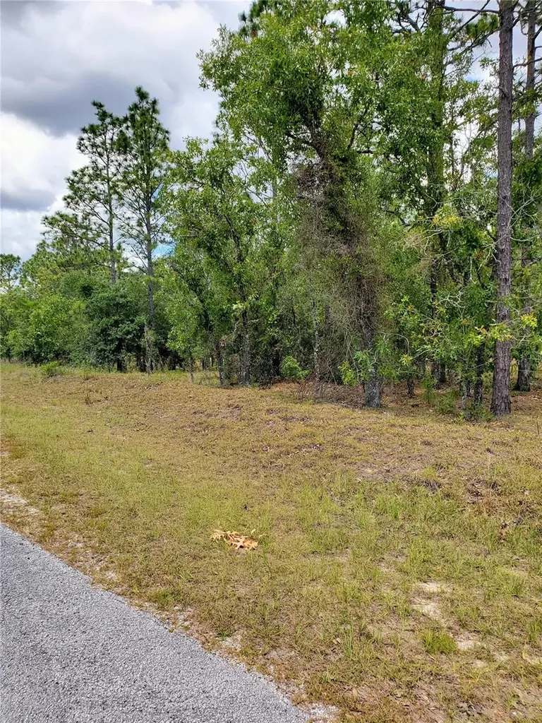 Pony Ridge Drive Dunnellon FL 34431