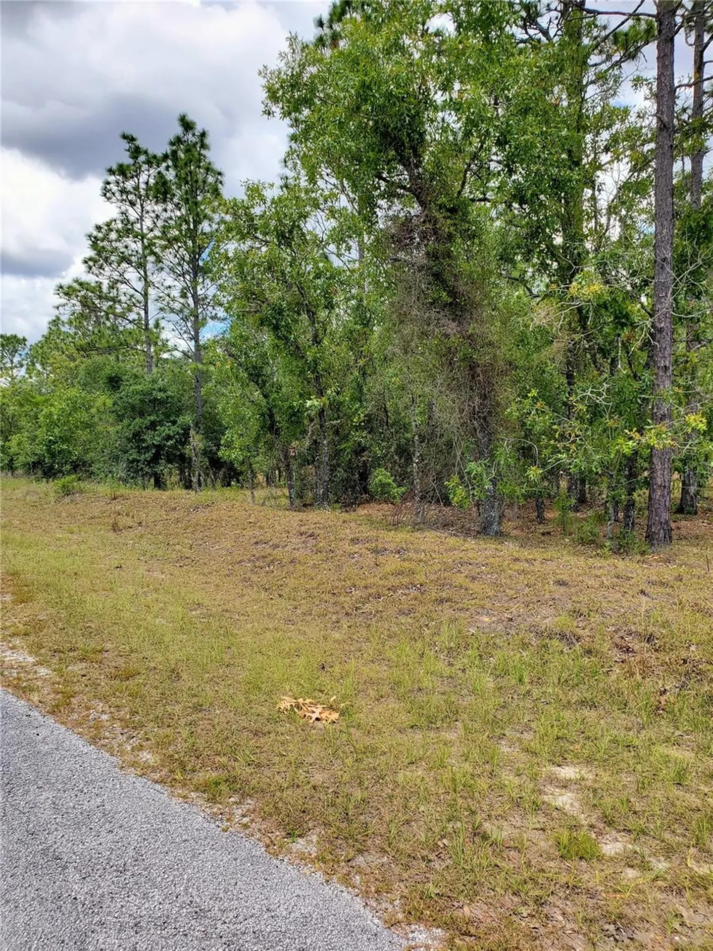 Pony Ridge Drive Dunnellon FL 34431