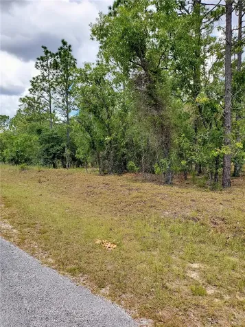 Pony Ridge Drive Dunnellon FL 34431