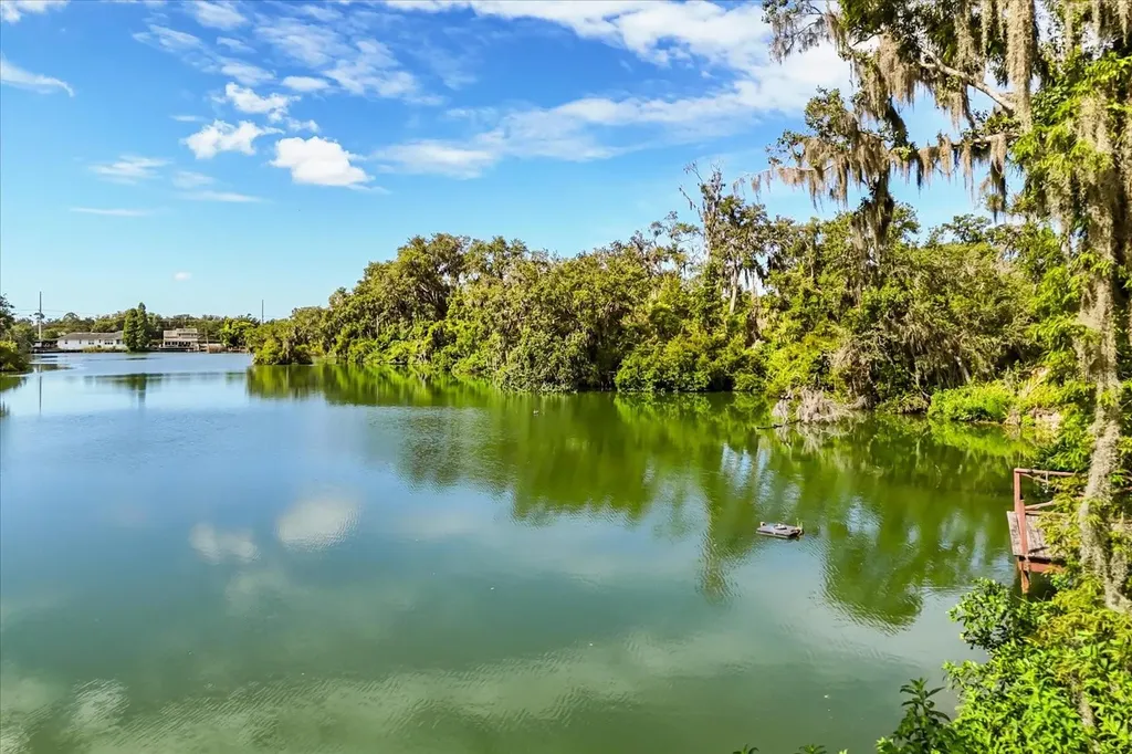 6033 Mountain Lake Drive Lakeland FL 33813