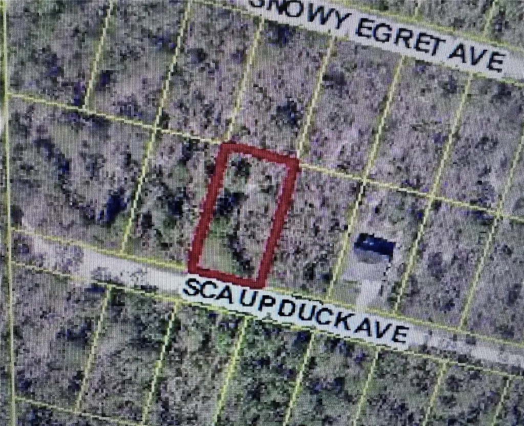 Scaup Duck Avenue Weeki Wachee FL 34614
