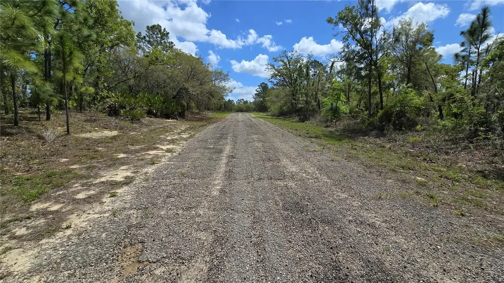 6745 N Darlington Drive Dunnellon FL 34434