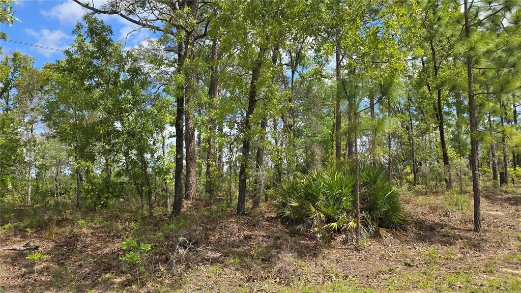 6745 N Darlington Drive Dunnellon FL 34434