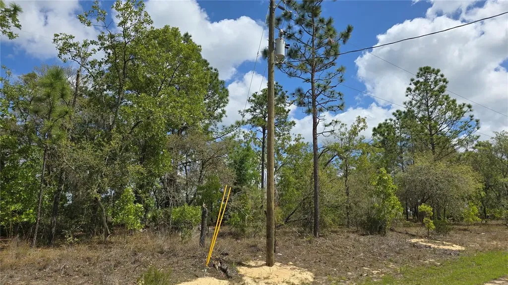 6745 N Darlington Drive Dunnellon FL 34434