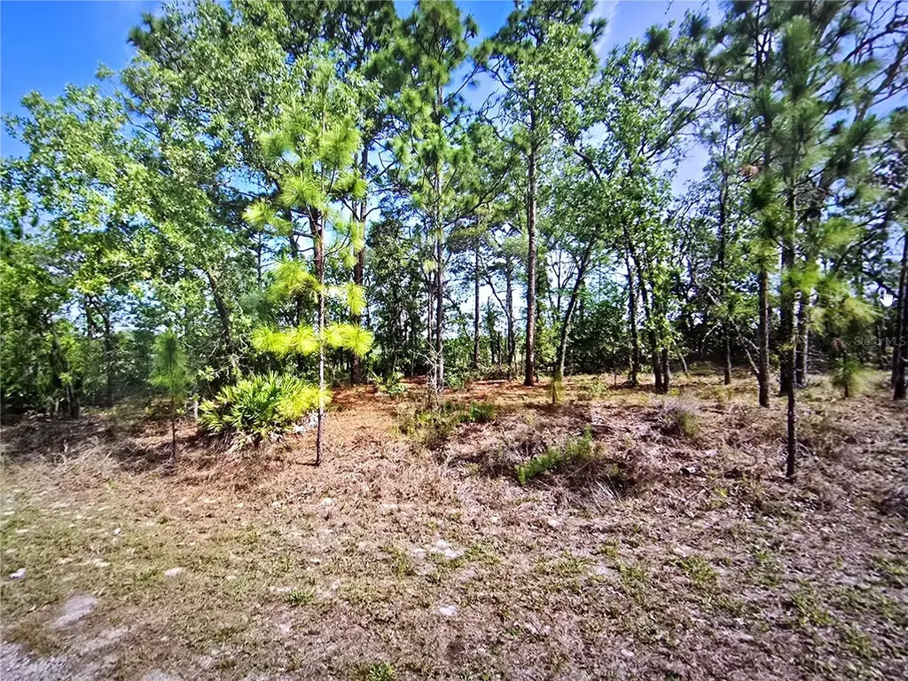 6745 N Darlington Drive Dunnellon FL 34434