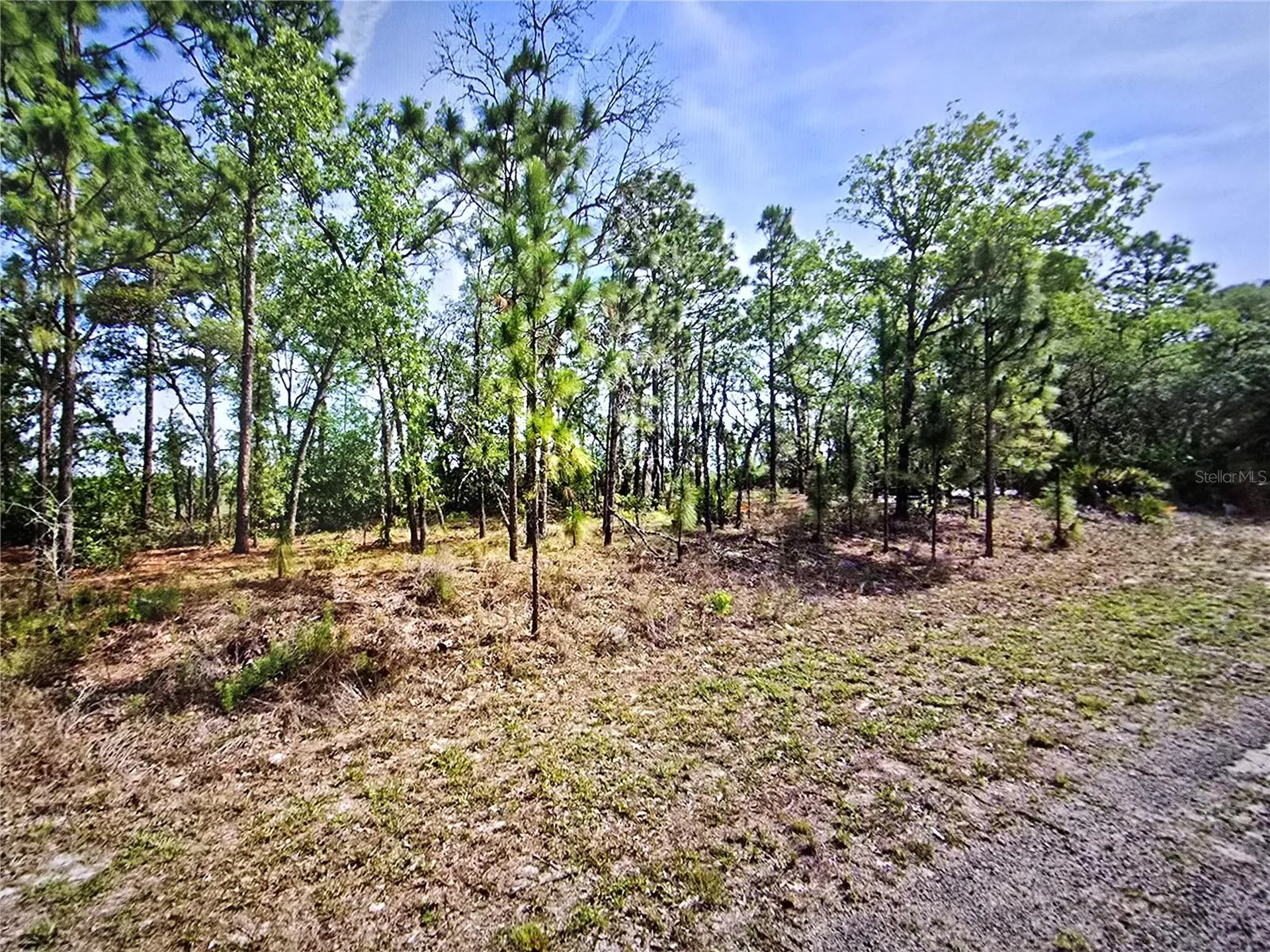 6745 N Darlington Drive Dunnellon FL 34434