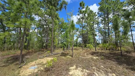 6745 N Darlington Drive Dunnellon FL 34434