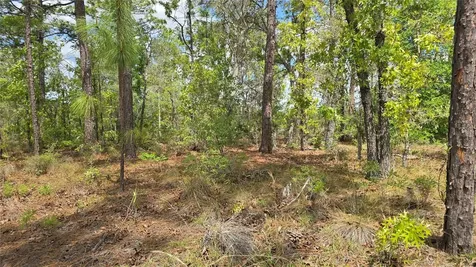 6745 N Darlington Drive Dunnellon FL 34434