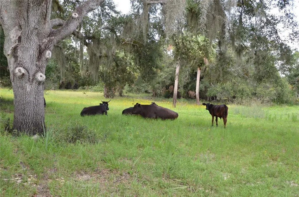 0 SE Highway 31 Arcadia FL 34266