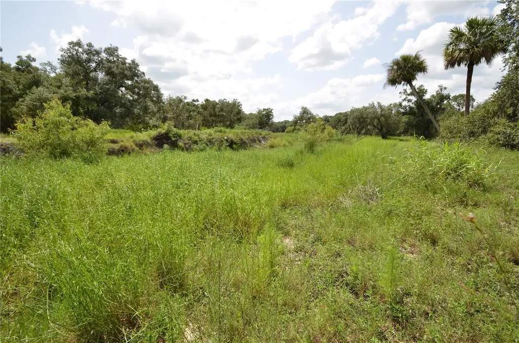 0 SE Highway 31 Arcadia FL 34266
