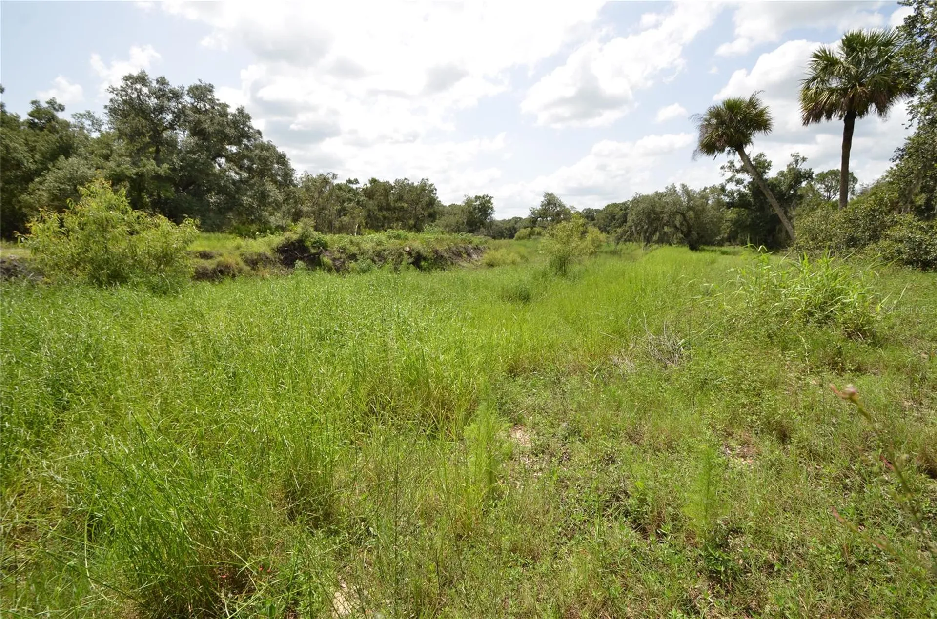 0 SE Highway 31 Arcadia FL 34266
