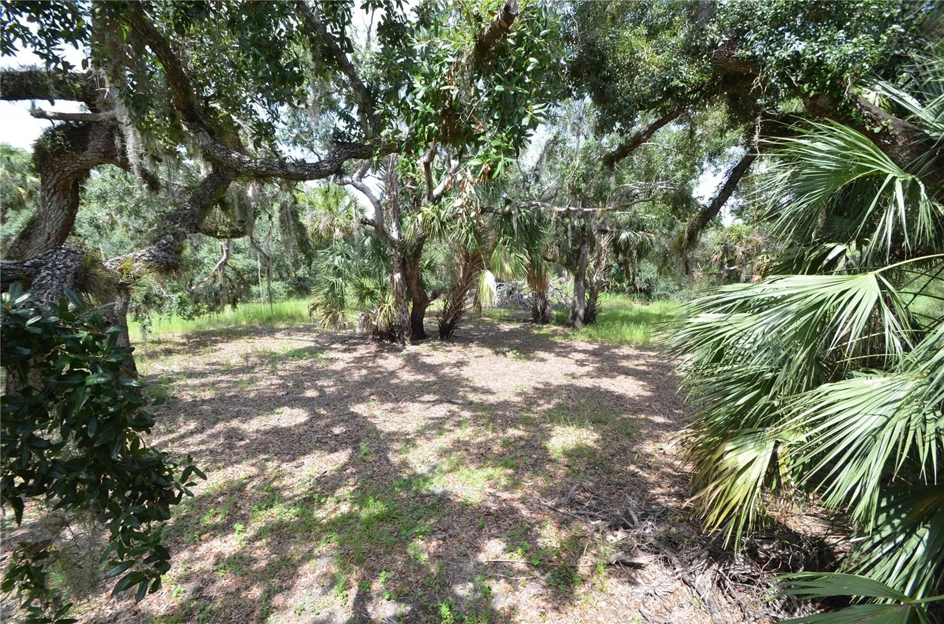 0 SE Highway 31 Arcadia FL 34266
