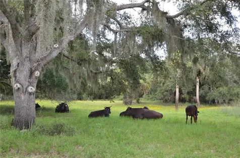 0 SE Highway 31 Arcadia FL 34266