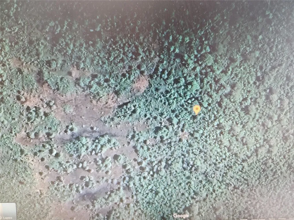 Holopaw Groves Road St Cloud FL 34771