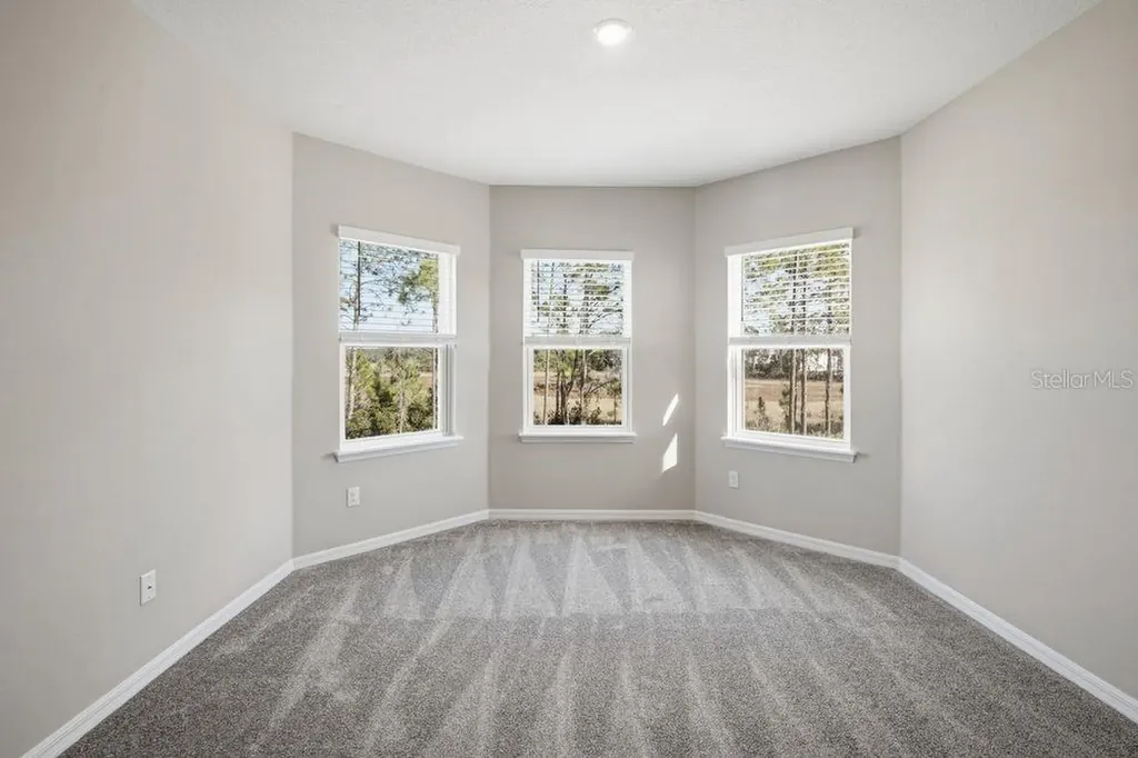 1678 Trailhead Lane Zephyrhills FL 33541