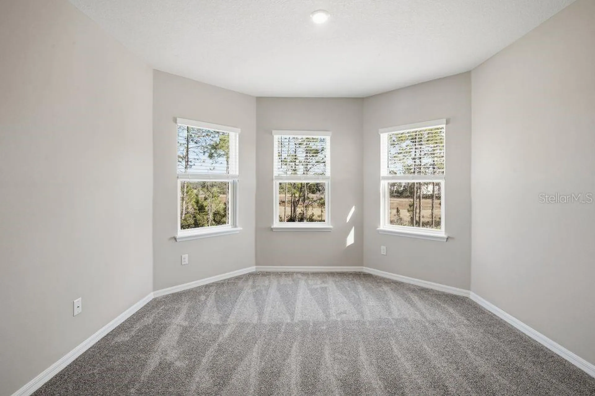1678 Trailhead Lane Zephyrhills FL 33541