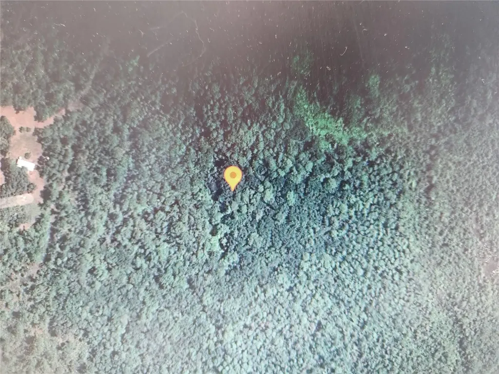 Holopaw Groves Road St Cloud FL 34771