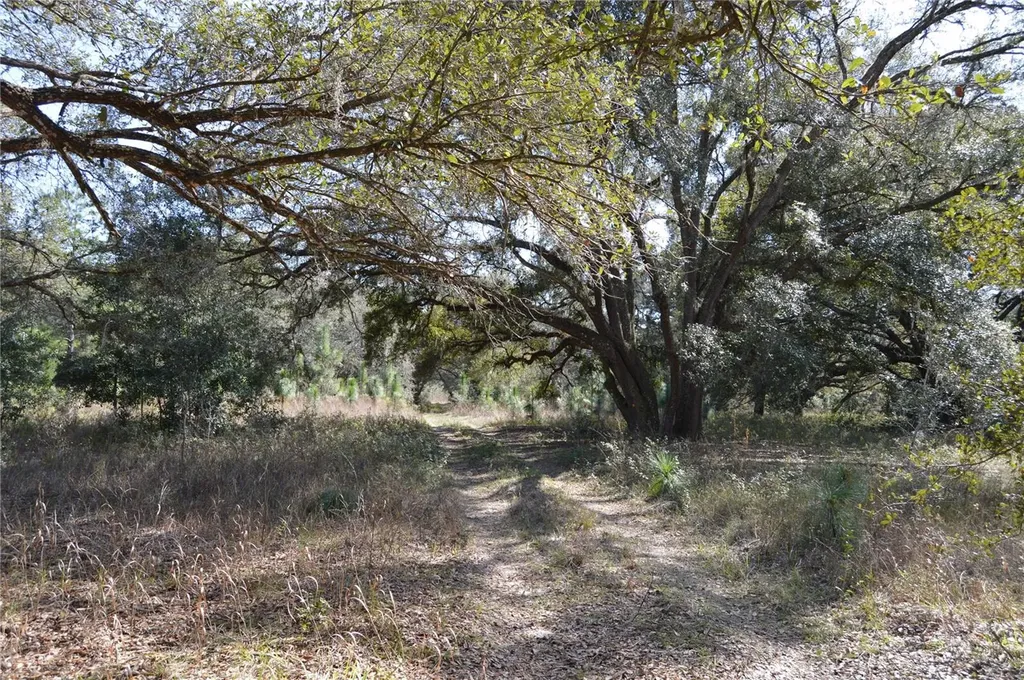 00 Unnamed Spring Hill FL 34610