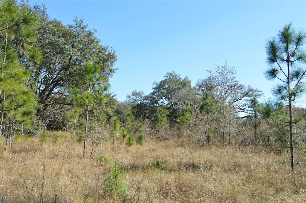 00 Unnamed Spring Hill FL 34610