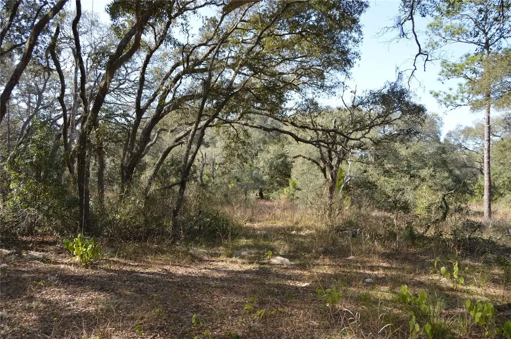 00 Unnamed Spring Hill FL 34610