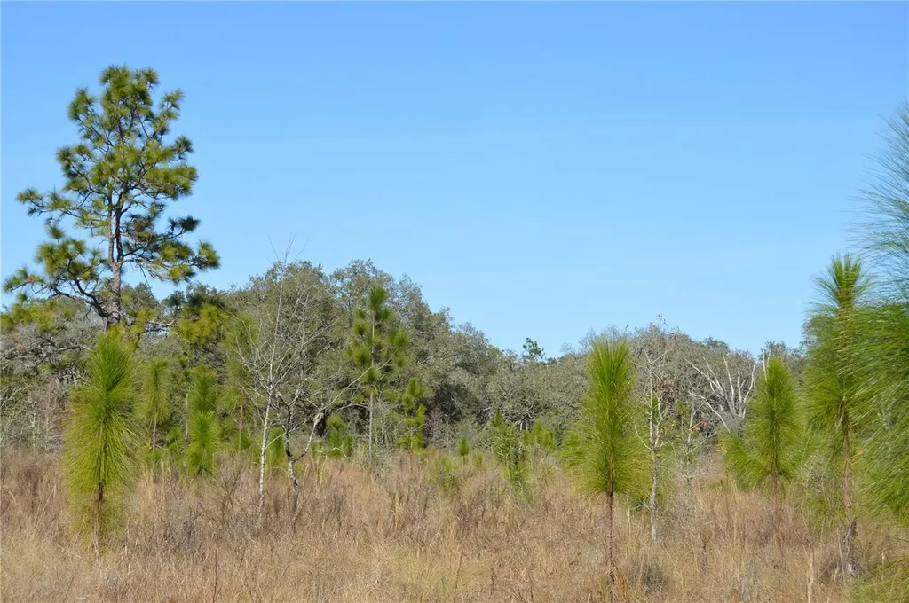 00 Unnamed Spring Hill FL 34610