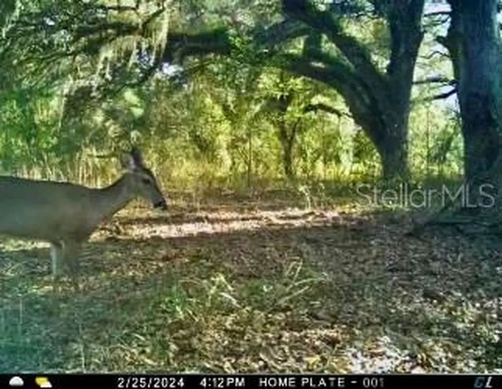 00 Unnamed Spring Hill FL 34610