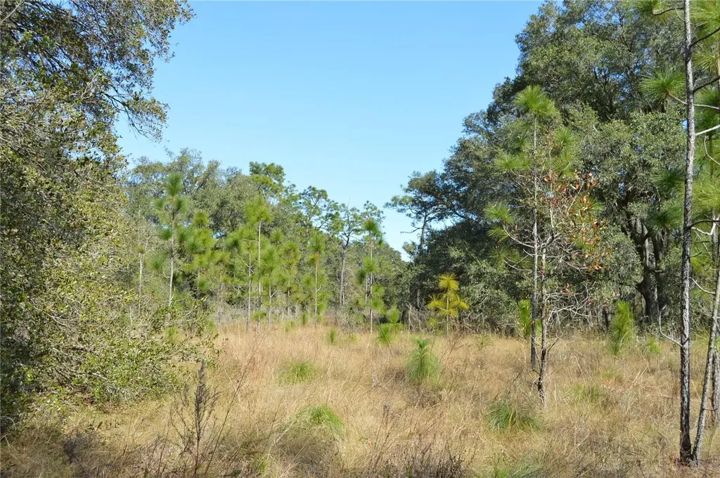00 Unnamed Spring Hill FL 34610