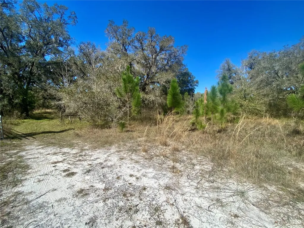 00 Unnamed Spring Hill FL 34610