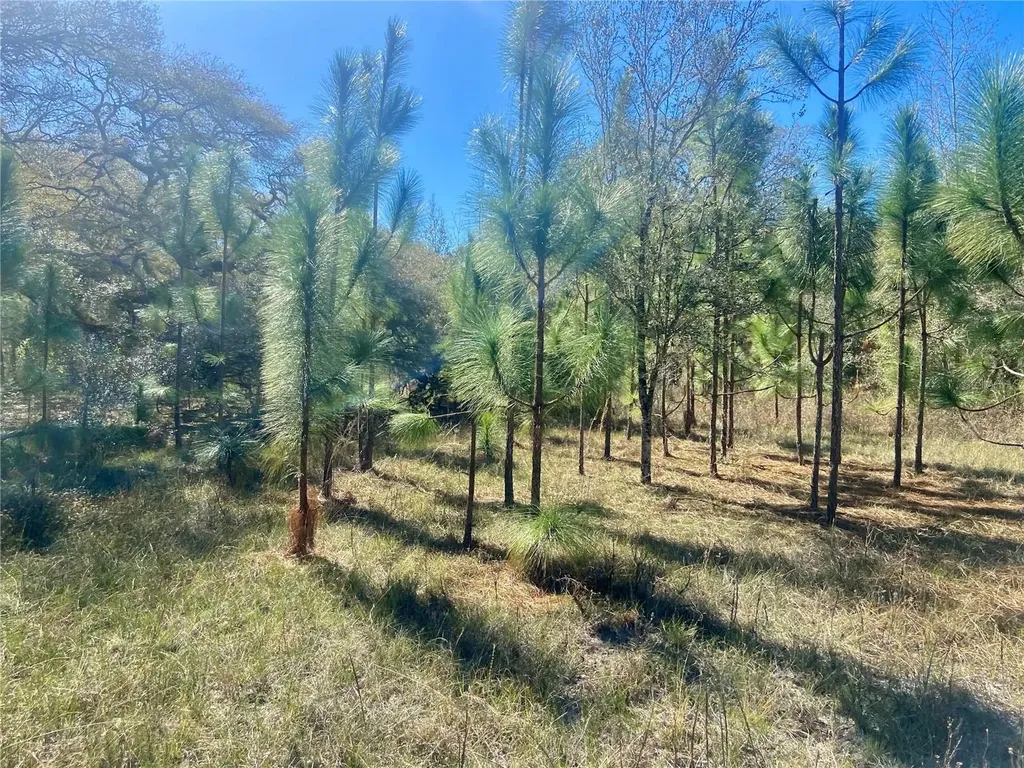 00 Unnamed Spring Hill FL 34610