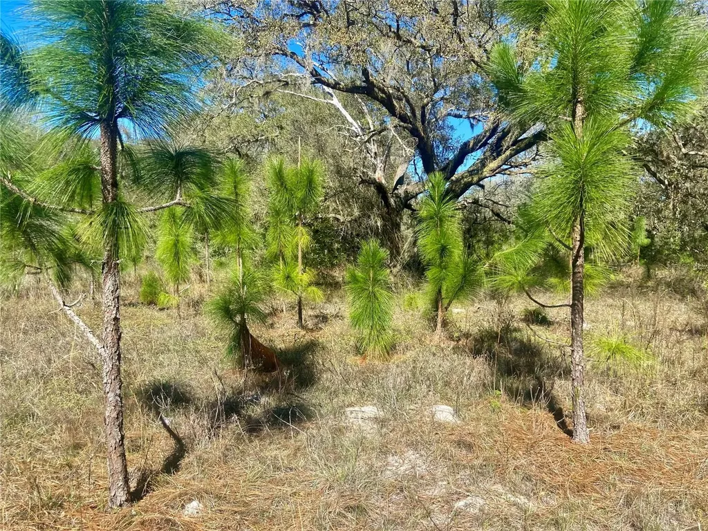 00 Unnamed Spring Hill FL 34610