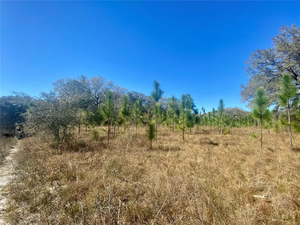 00 Unnamed Spring Hill FL 34610