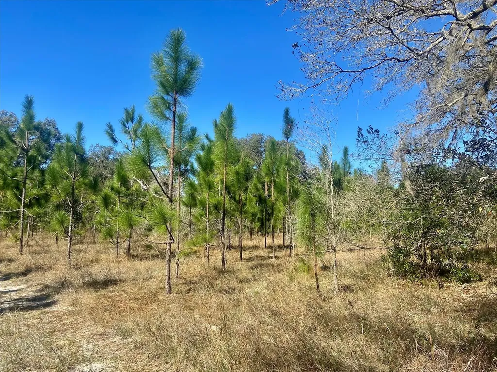 00 Unnamed Spring Hill FL 34610