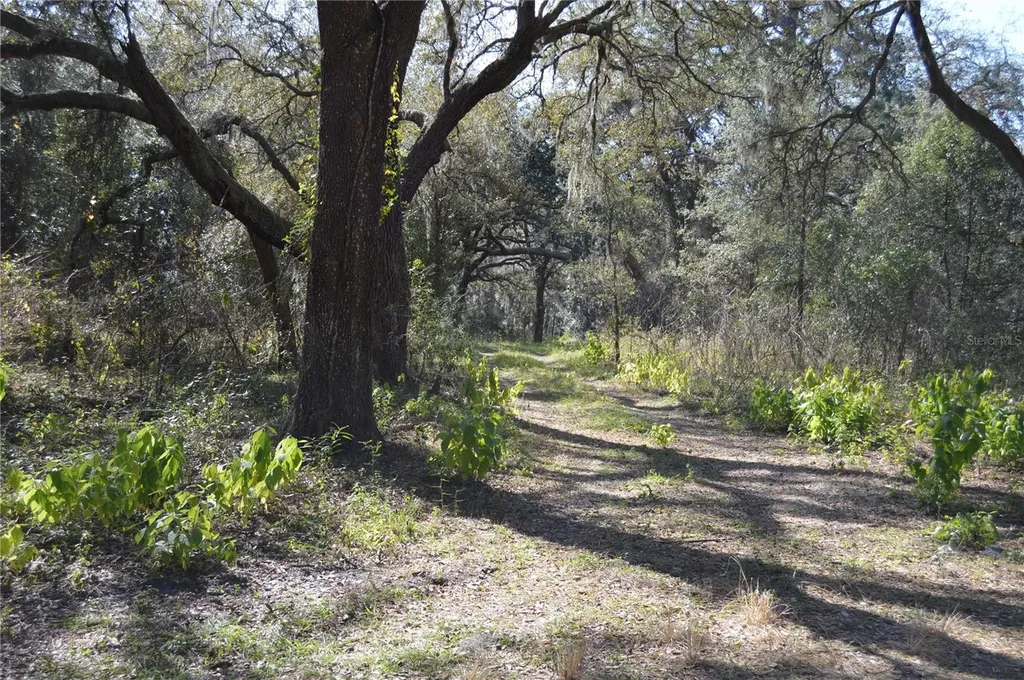 00 Unnamed Spring Hill FL 34610