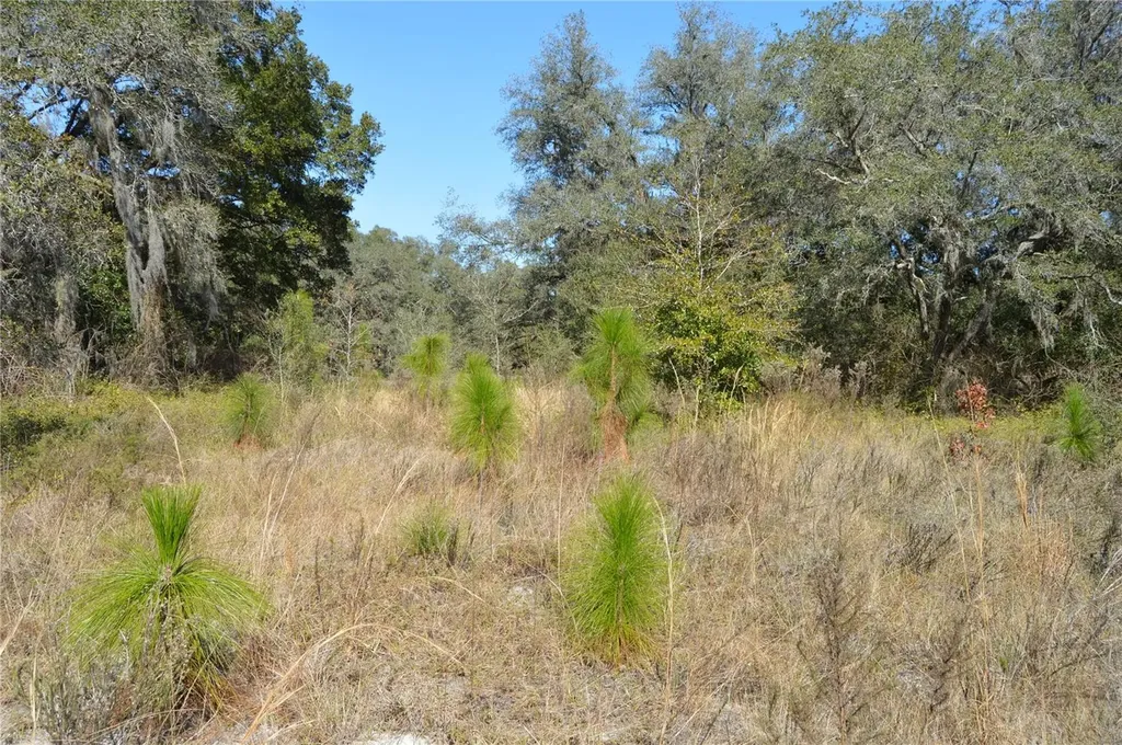 00 Unnamed Spring Hill FL 34610