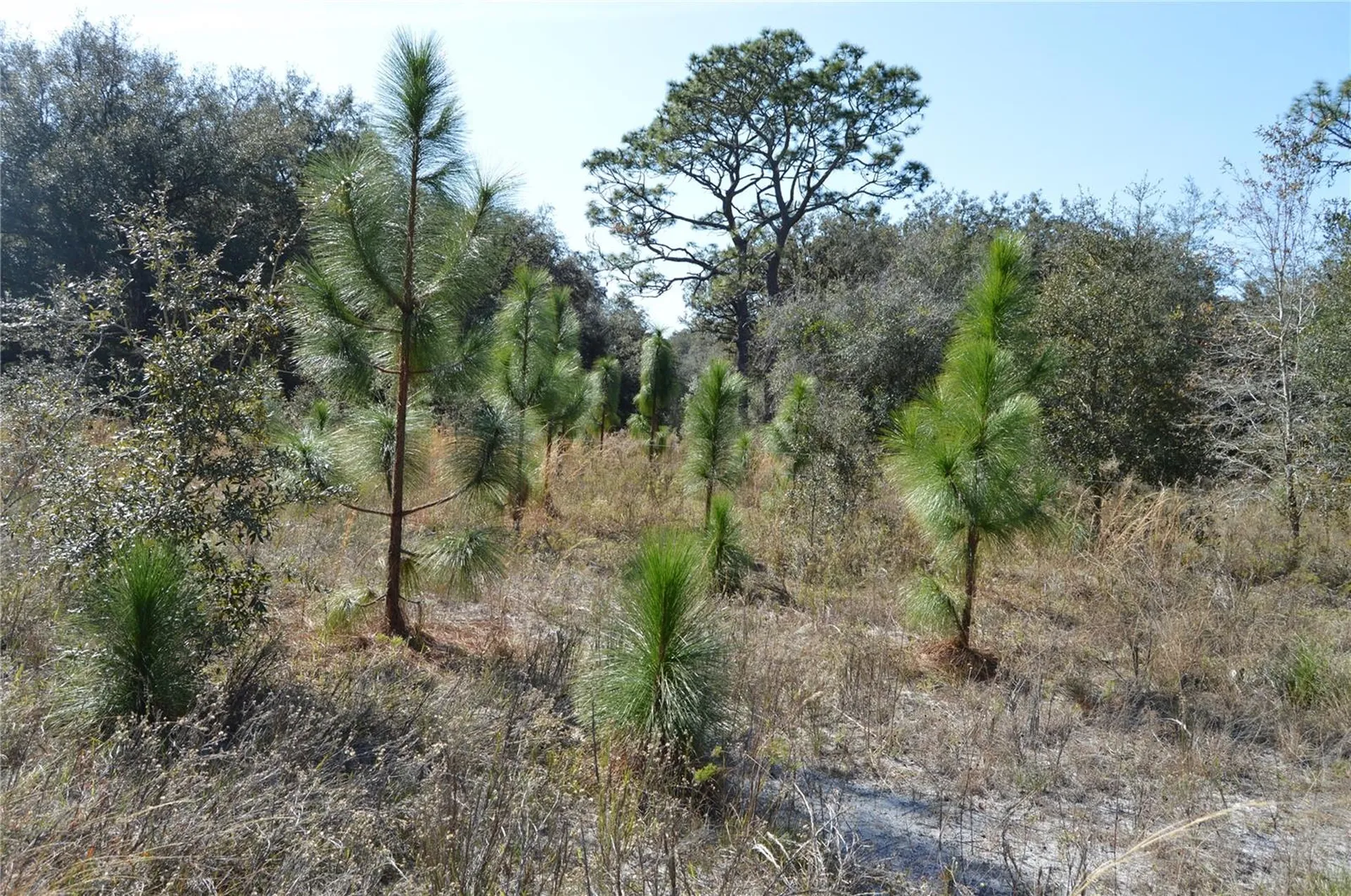 00 Unnamed Spring Hill FL 34610