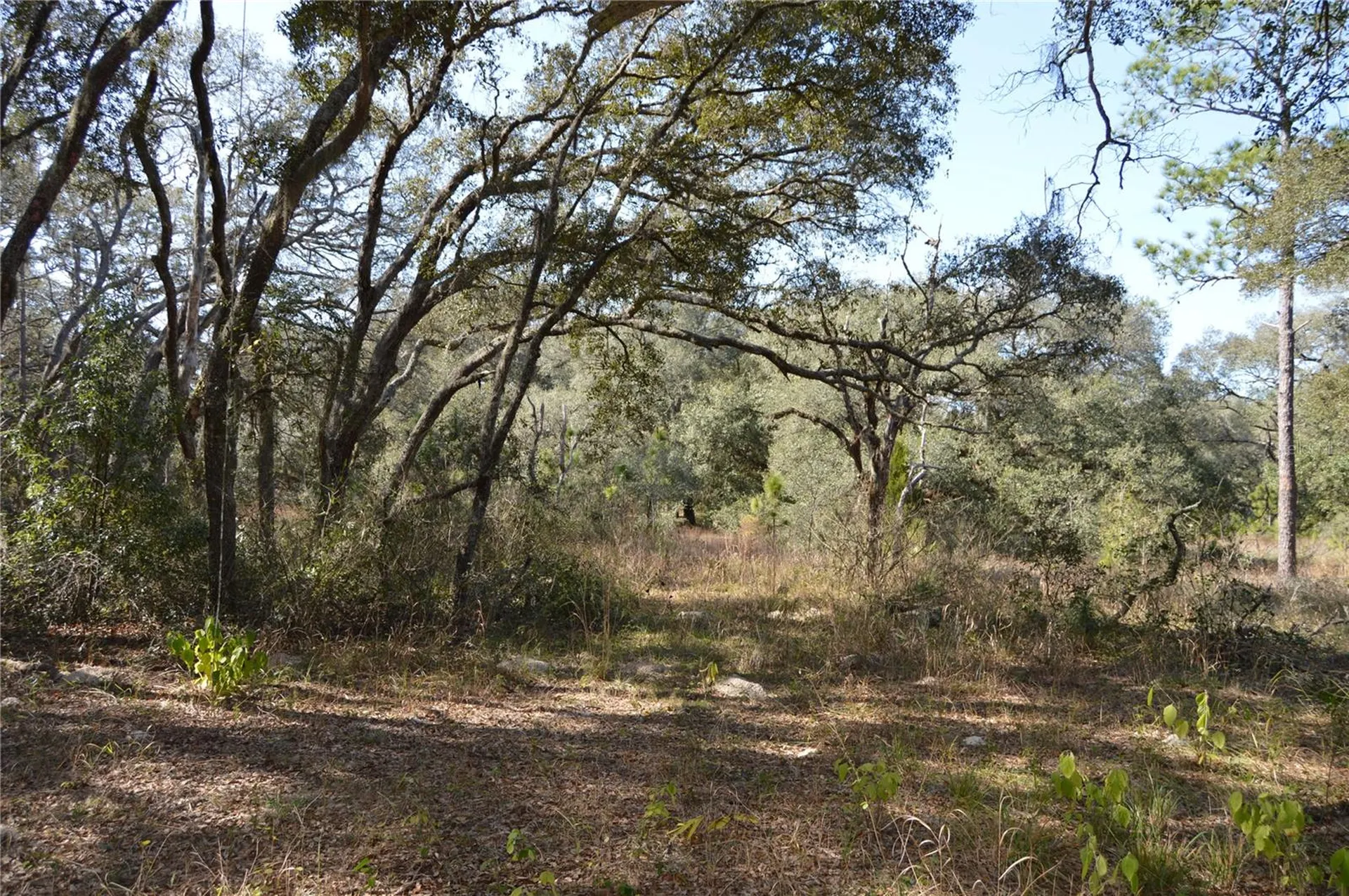 00 Unnamed Spring Hill FL 34610