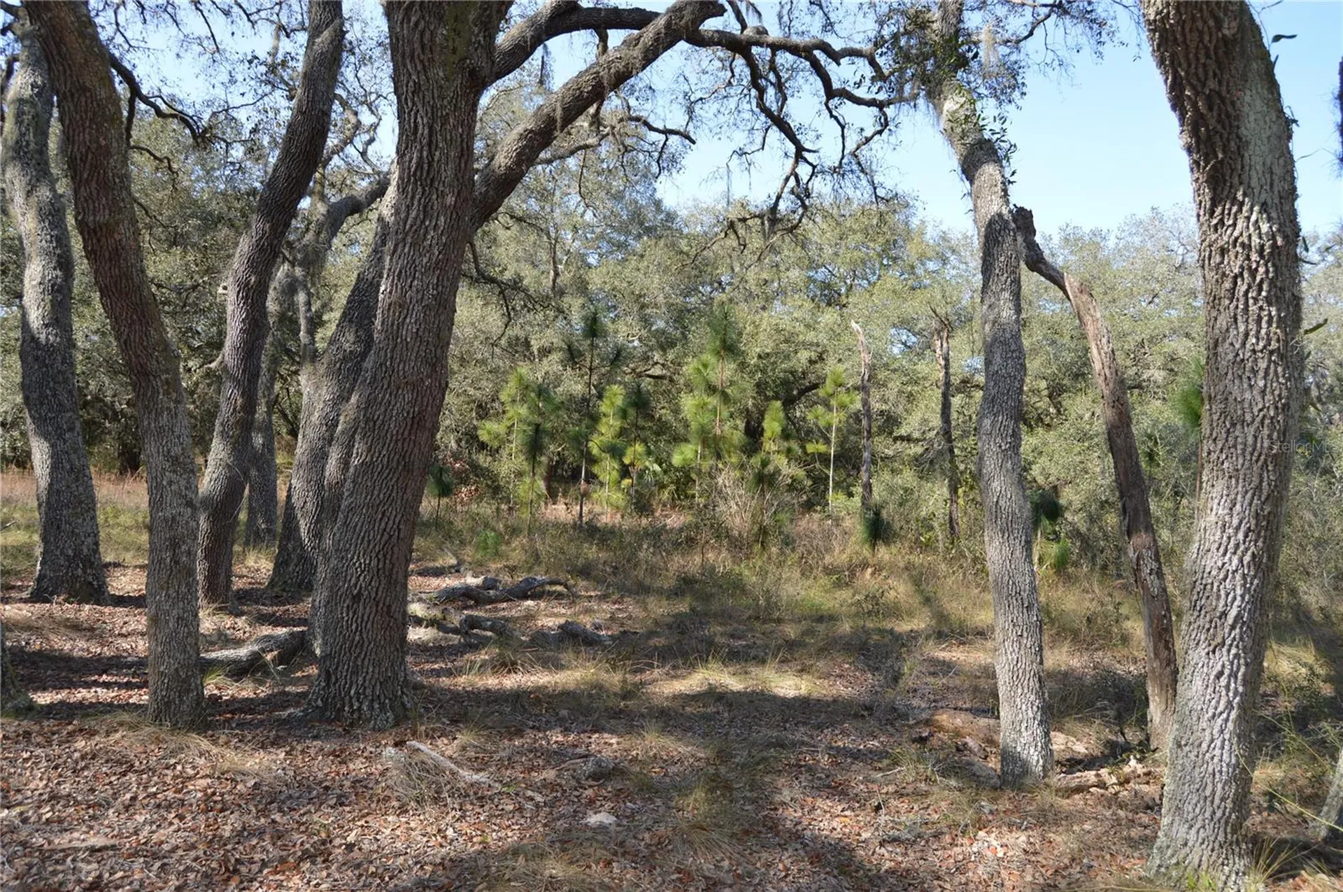 00 Unnamed Spring Hill FL 34610