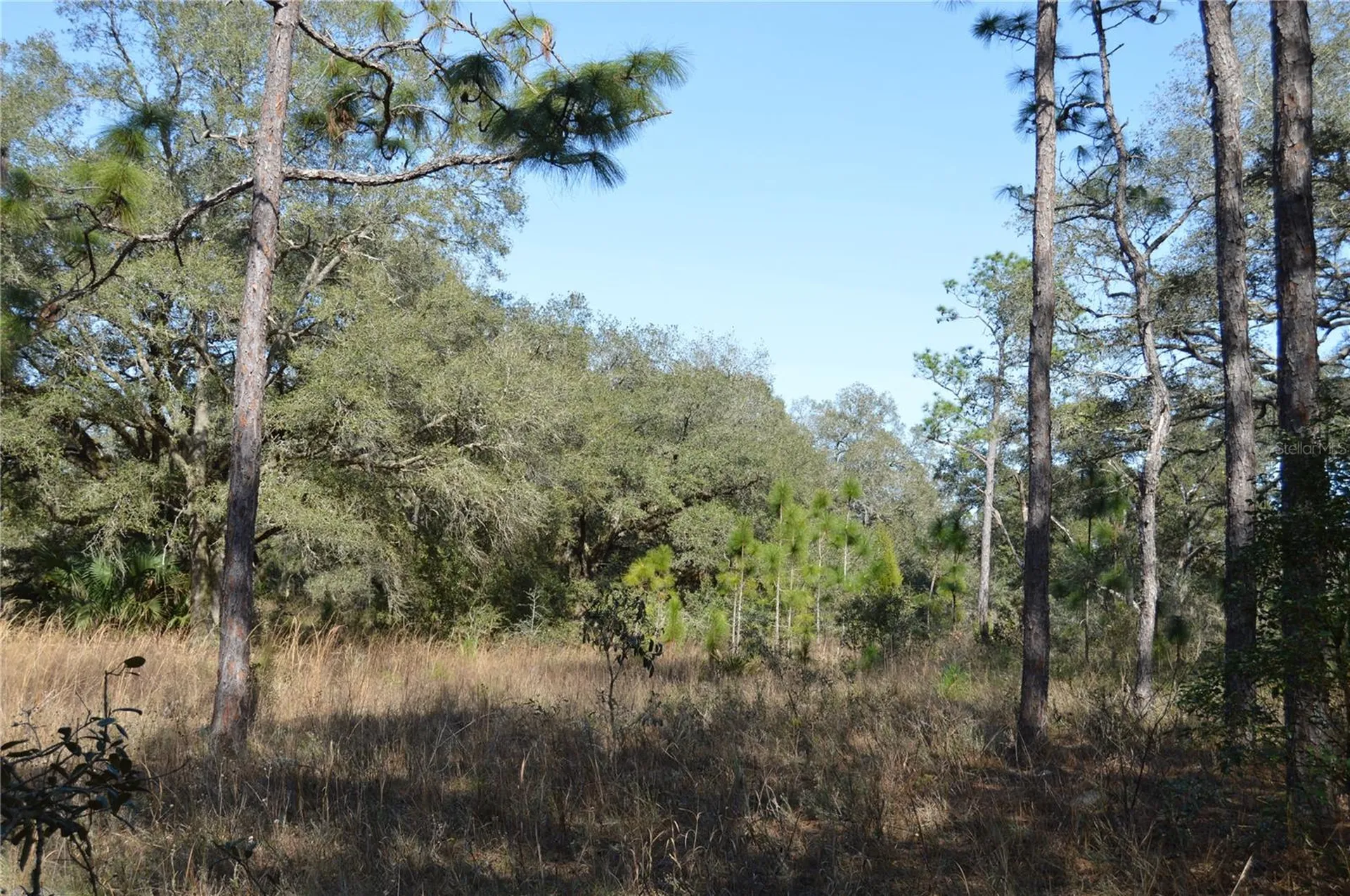 00 Unnamed Spring Hill FL 34610