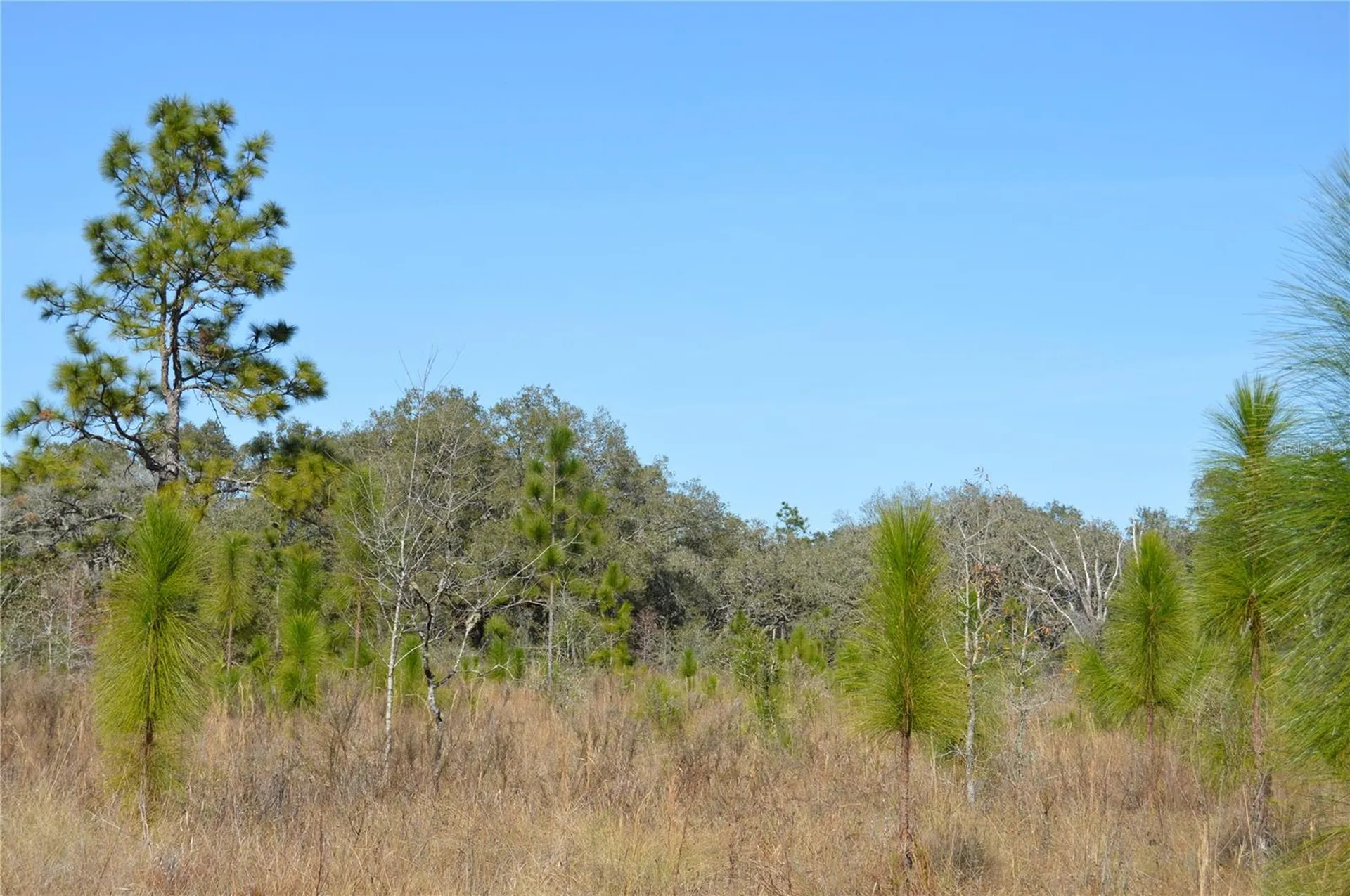 00 Unnamed Spring Hill FL 34610