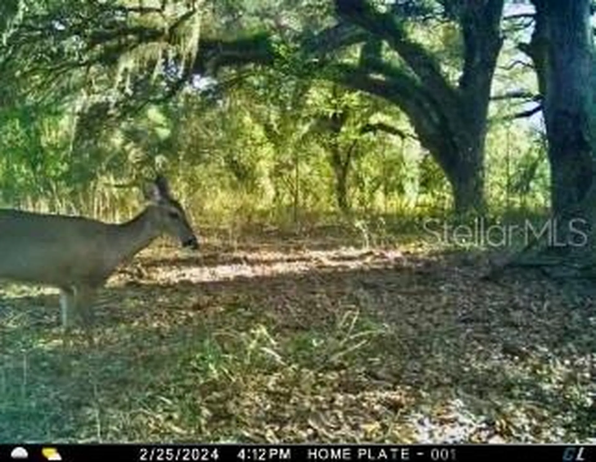 00 Unnamed Spring Hill FL 34610