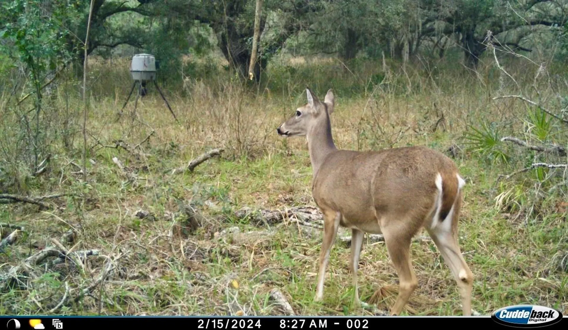 00 Unnamed Spring Hill FL 34610