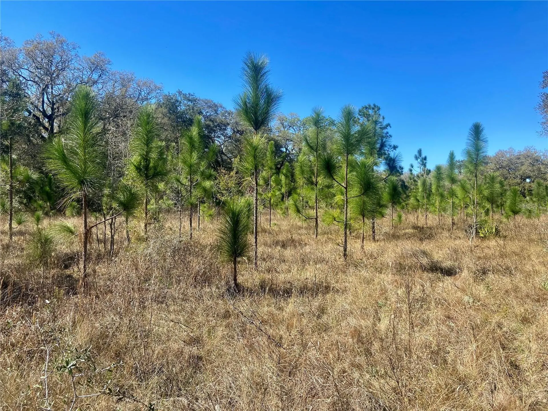 00 Unnamed Spring Hill FL 34610